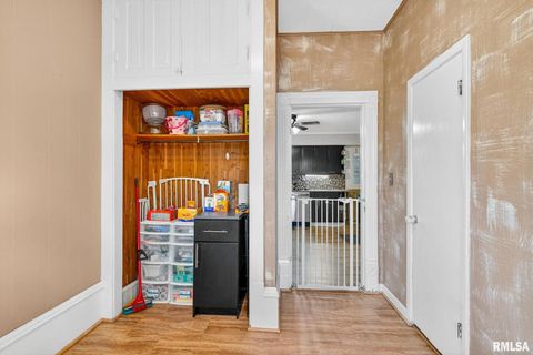 Tiny photo for 919 9TH Avenue, Fulton, IL 61252 (MLS # QC4269397)