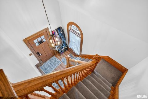 Tiny photo for 919 9TH Avenue, Fulton, IL 61252 (MLS # QC4269397)