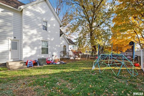 Tiny photo for 919 9TH Avenue, Fulton, IL 61252 (MLS # QC4269397)