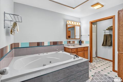 Tiny photo for 919 9TH Avenue, Fulton, IL 61252 (MLS # QC4269397)