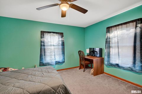 Tiny photo for 919 9TH Avenue, Fulton, IL 61252 (MLS # QC4269397)