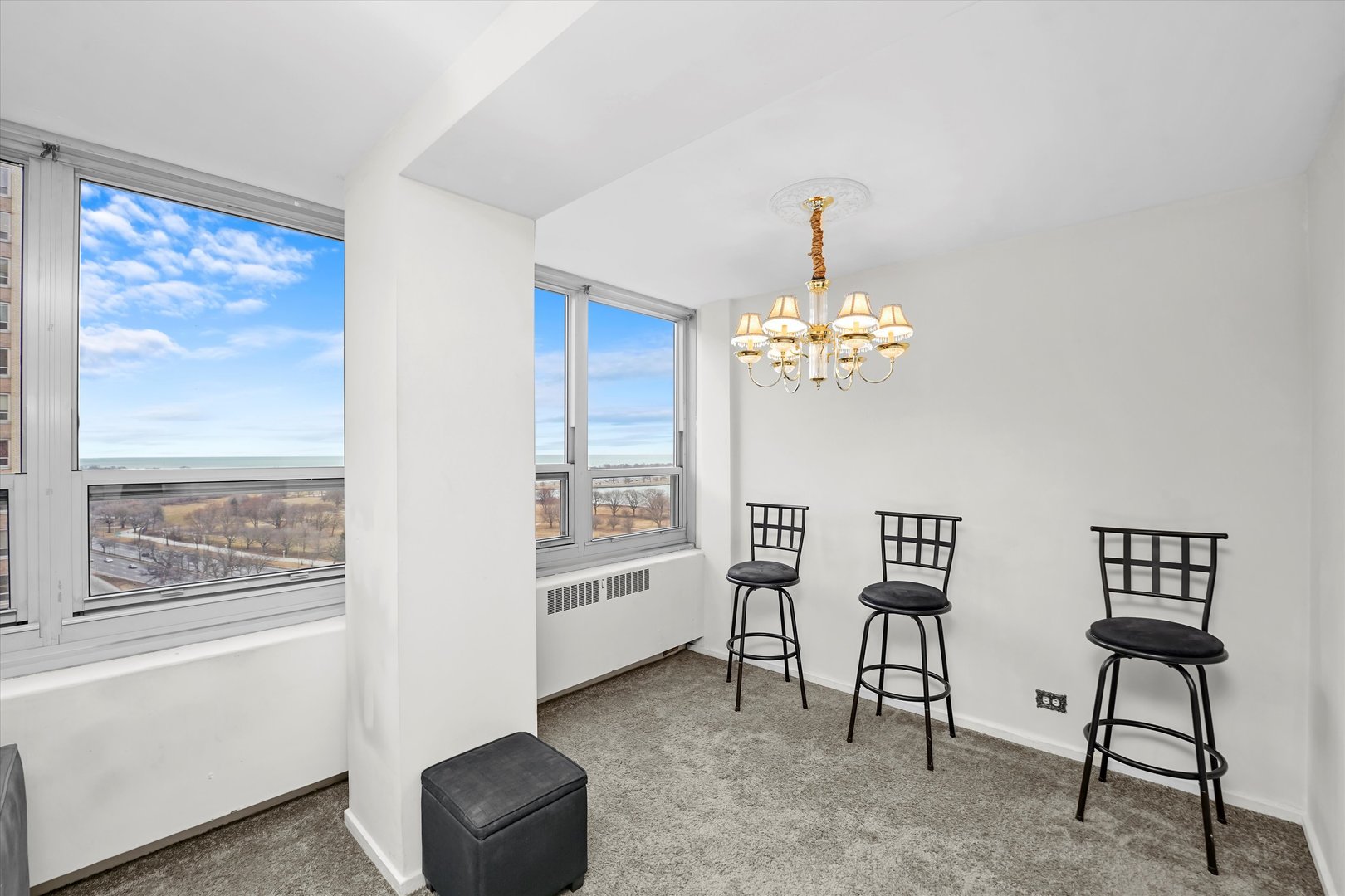 3950 N Lake Shore Drive 1728