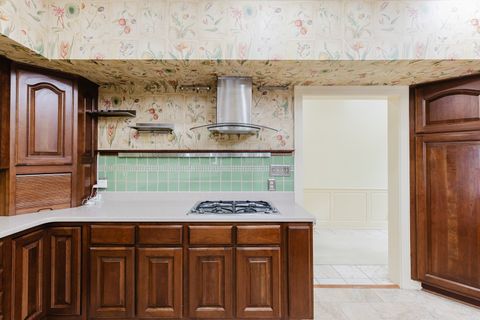 Tiny photo for 319 Country Club Lane, Harrisburg, IL 62946 (MLS # 12583805)