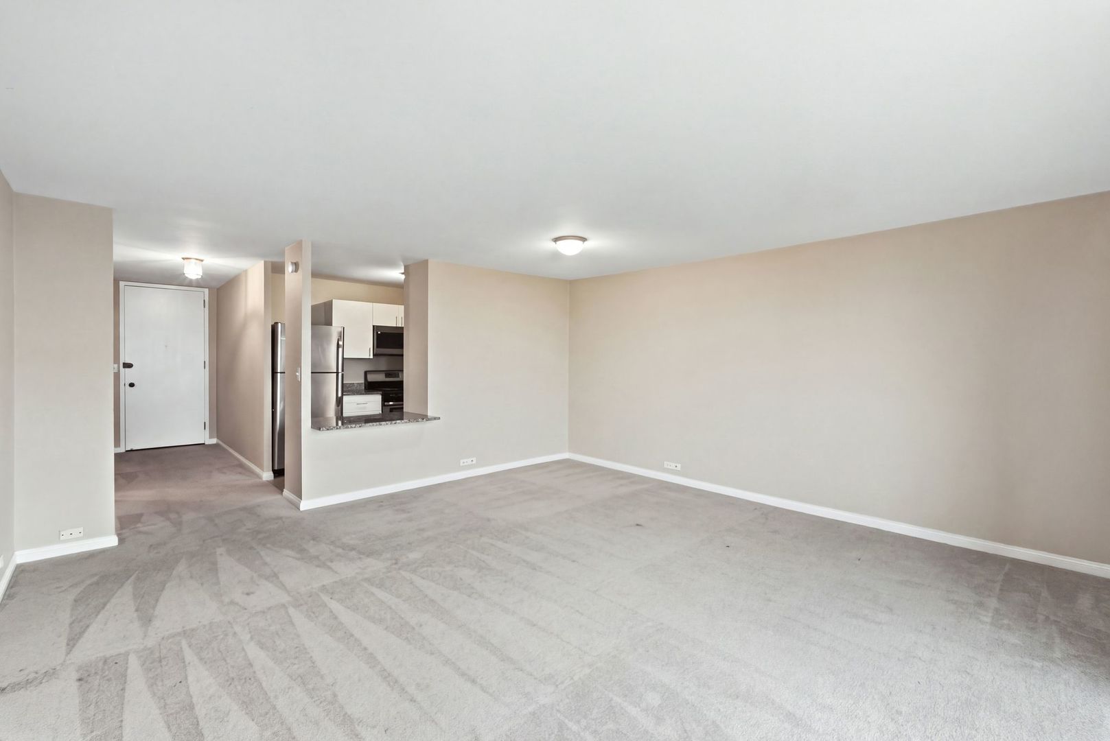 3001 S Michigan Avenue 809