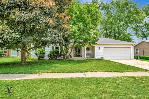 817 Mae Street Wilmington IL 60481
