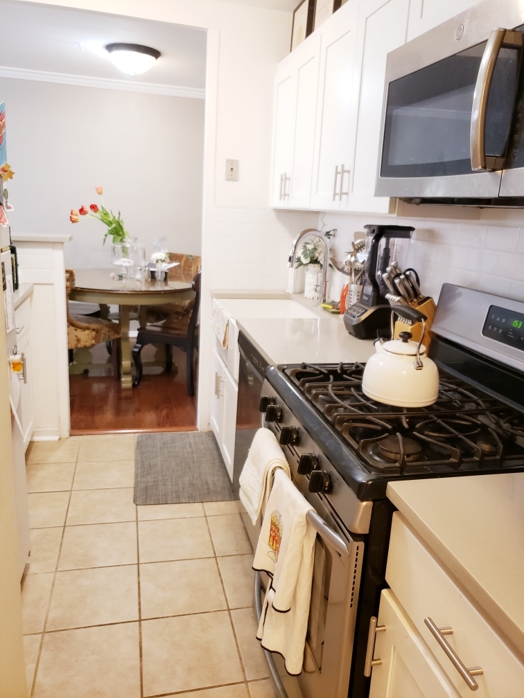 3950 N Lake Shore Drive 509B