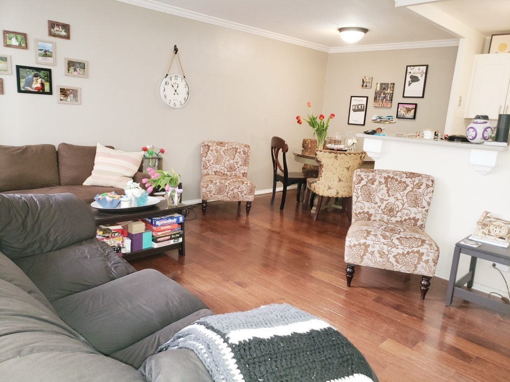 3950 N Lake Shore Drive 509B
