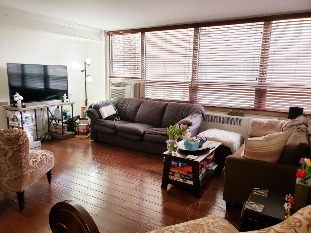 3950 N Lake Shore Drive 509B