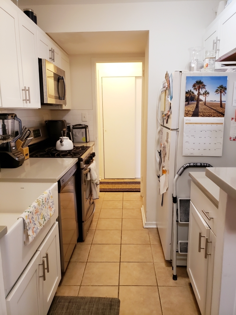 3950 N Lake Shore Drive 509B