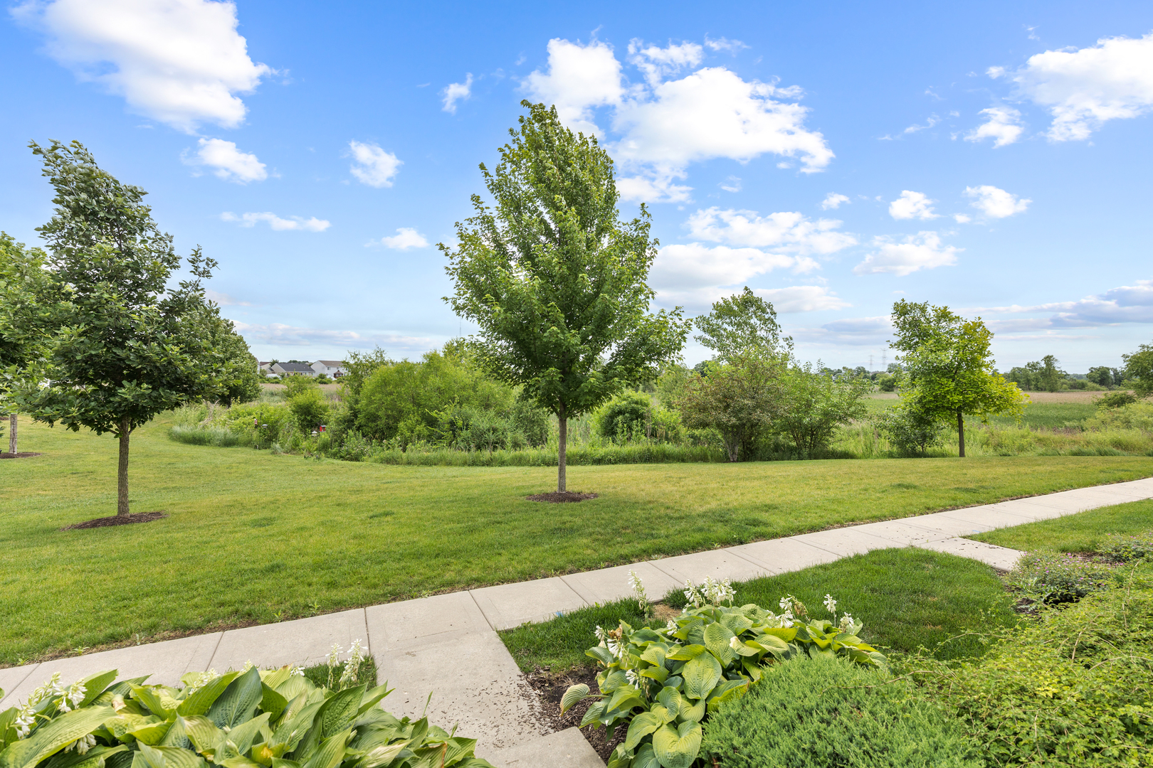 1151 Piccolo Lane
