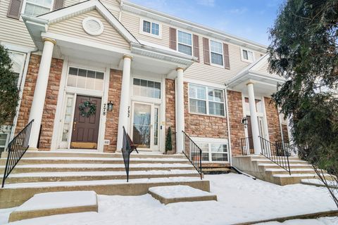 782 W Misty Drive Palatine IL 60074