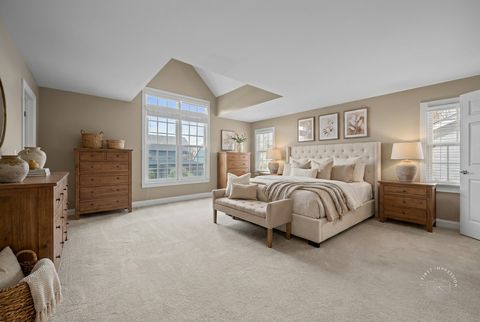 Tiny photo for 427 S Sleight Street, Naperville, IL 60540 (MLS # 12646041)