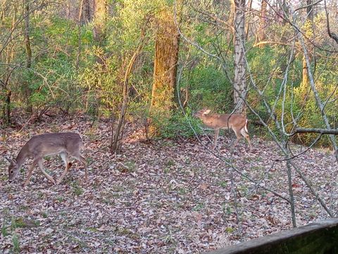 Tiny photo for 121 Lee Lane, Murphysboro, IL 62966 (MLS # 12592443)