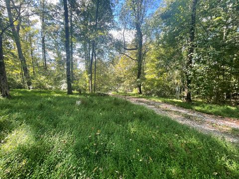 Tiny photo for 121 Lee Lane, Murphysboro, IL 62966 (MLS # 12592443)