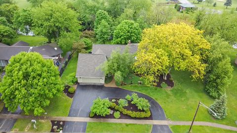 244 Greenwood North DeKalb IL 60115