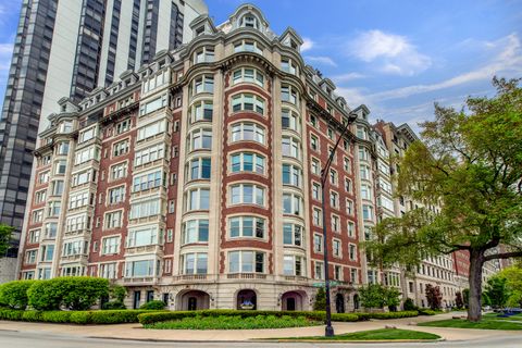 999 N Lake Shore Drive 2B Chicago IL 60611