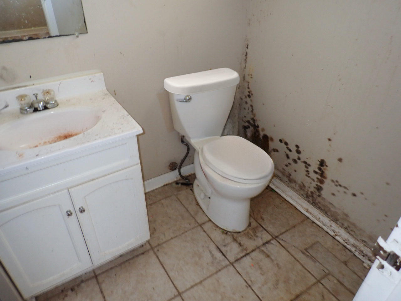 365 Waverly Street, Park Forest, IL 60466 — MLS #12624634 — photo 10 of 12