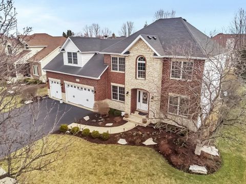 12517 Wingstem Street Plainfield IL 60585