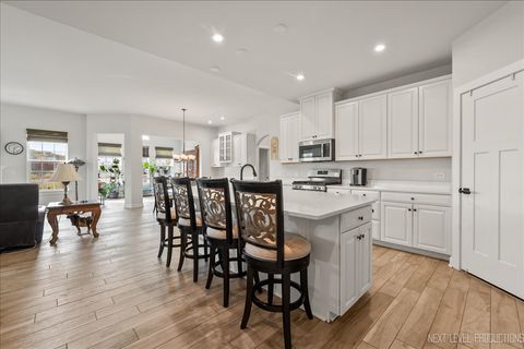 Tiny photo for 828 Mario Lane, Gilberts, IL 60136 (MLS # 12527654)