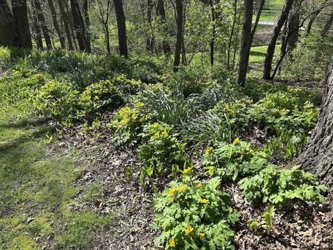 Tiny photo for 804 Timber Trail Drive, Dixon, IL 61021 (MLS # 12721334)