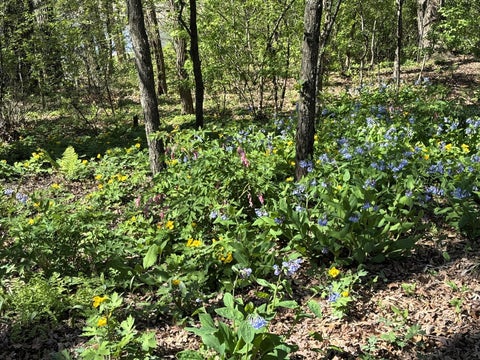 Tiny photo for 804 Timber Trail Drive, Dixon, IL 61021 (MLS # 12721334)