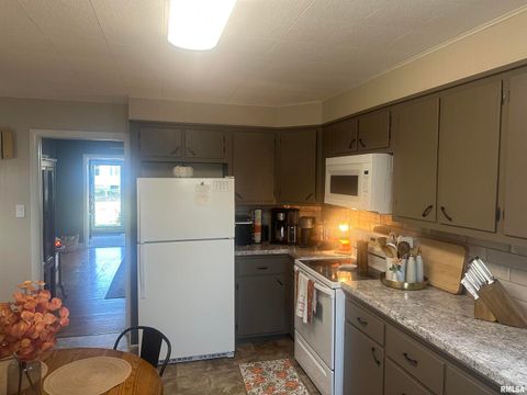 Tiny photo for 2125 DEWEY Street, Murphysboro, IL 62966 (MLS # EB460390)