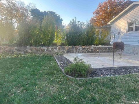 Tiny photo for 2125 DEWEY Street, Murphysboro, IL 62966 (MLS # EB460390)