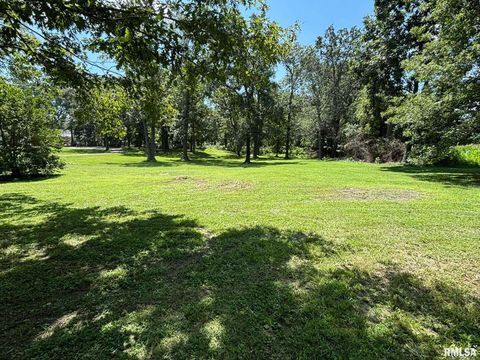 Tiny photo for 145 HICKORY, Salem, IL 62881 (MLS # EB459043)