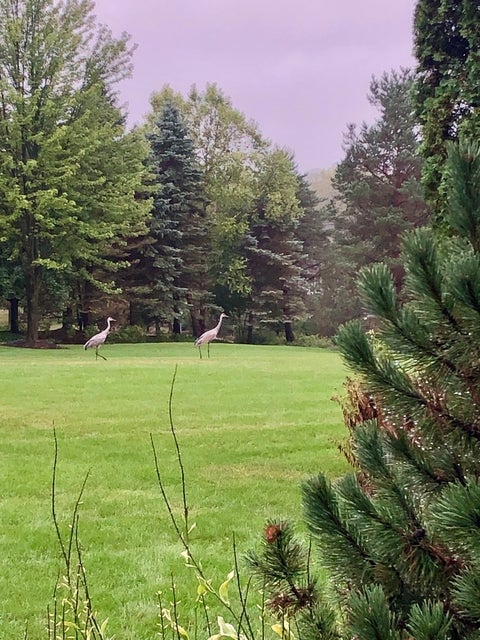 Tiny photo for 2917 Fox Knoll Court, Johnsburg, IL 60051 (MLS # 12661226)