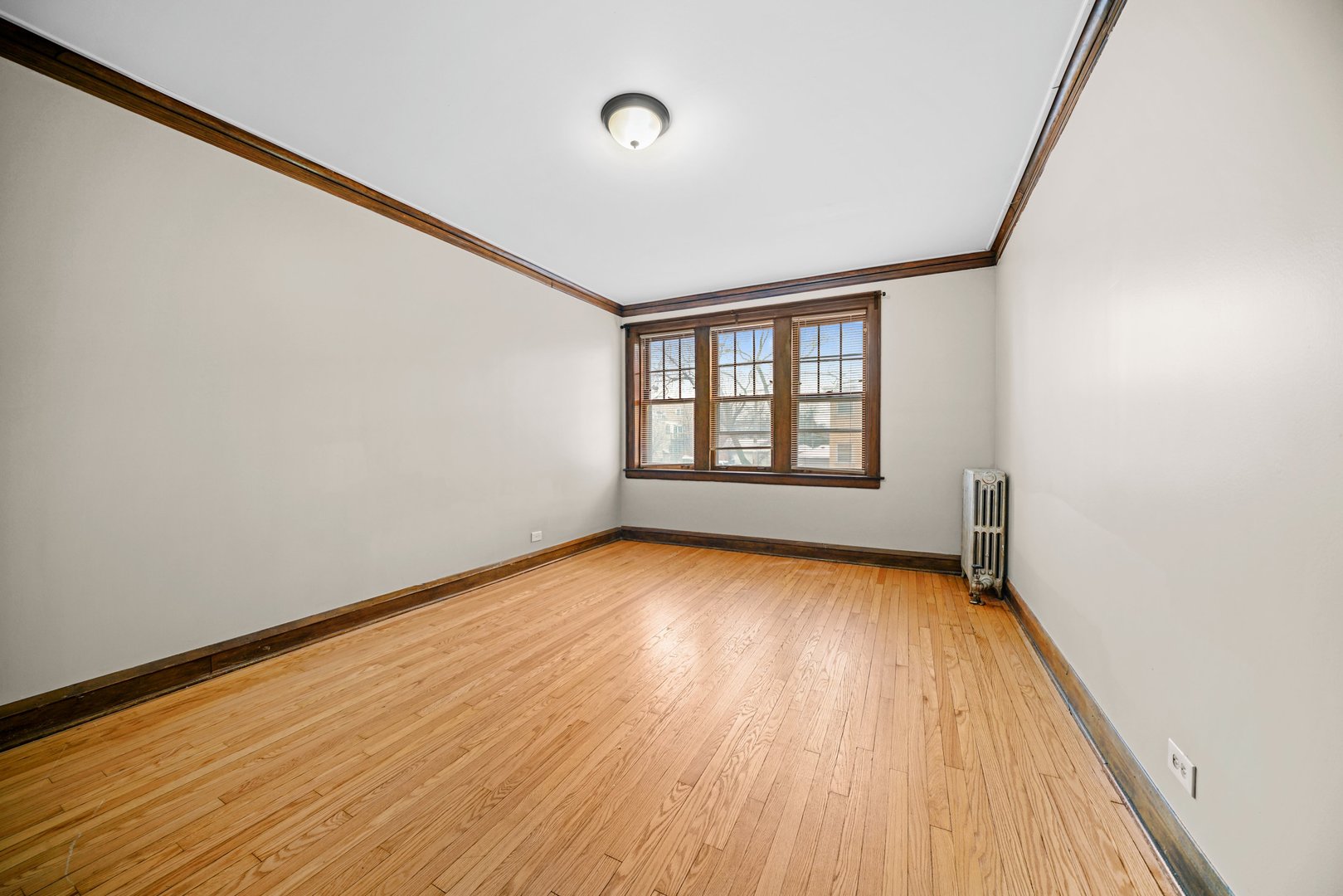 230 Elmwood Avenue 1S