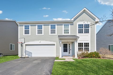 Tiny photo for 984 Richard Brown Boulevard, Volo, IL 60073 (MLS # 12603247)