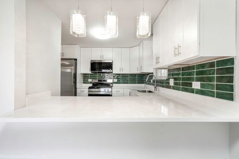 Tiny photo for Chicago, IL 60643 (MLS # 12545047)