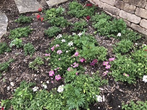 Tiny photo for 12660 BIRDIE Drive, Huntley, IL 60142 (MLS # 12532885)