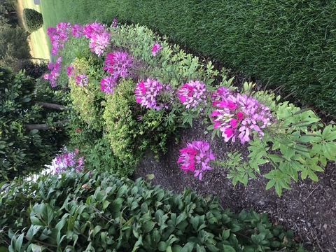 Tiny photo for 12660 BIRDIE Drive, Huntley, IL 60142 (MLS # 12532885)