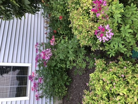 Tiny photo for 12660 BIRDIE Drive, Huntley, IL 60142 (MLS # 12532885)