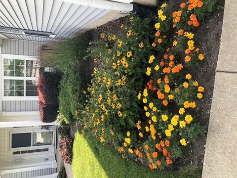 Tiny photo for 12660 BIRDIE Drive, Huntley, IL 60142 (MLS # 12532885)