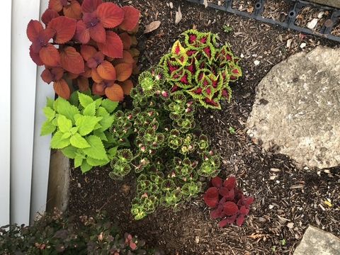 Tiny photo for 12660 BIRDIE Drive, Huntley, IL 60142 (MLS # 12532885)