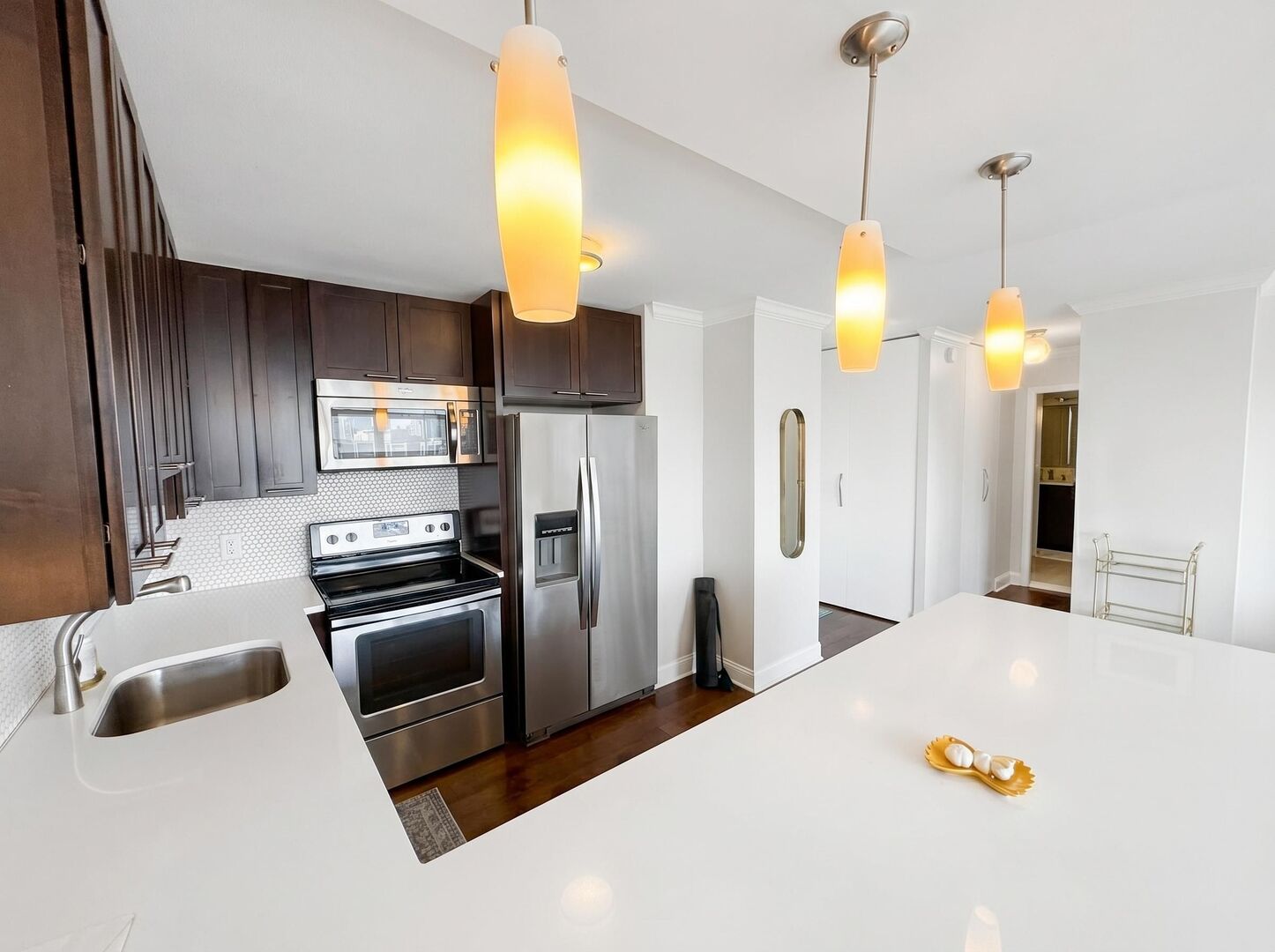 1460 N Sandburg Terrace 2805a