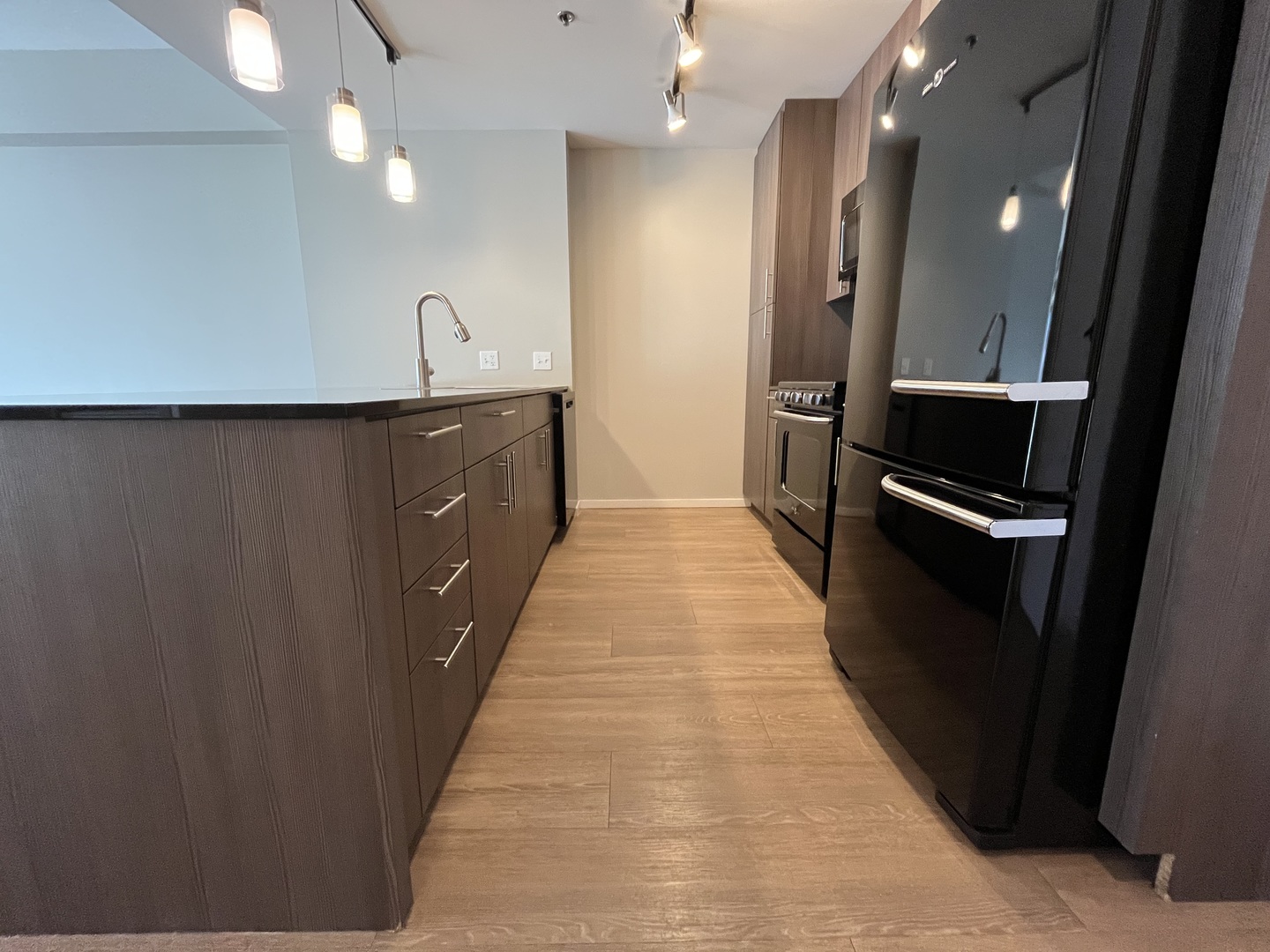 211 W Scott Street 317