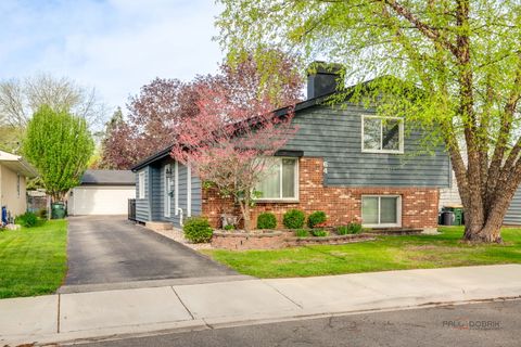 64 N Lincoln Avenue Mundelein IL 60060