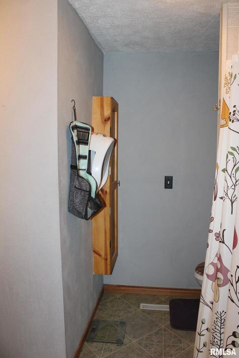 Tiny photo for 321 W SOUTH Street, Cambridge, IL 61238 (MLS # QC4269884)