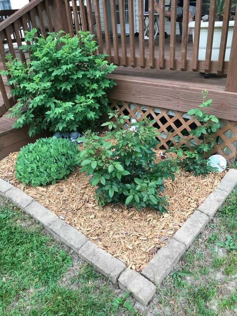 Tiny photo for 1015 S Locust Street, Sesser, IL 62884 (MLS # 12564311)