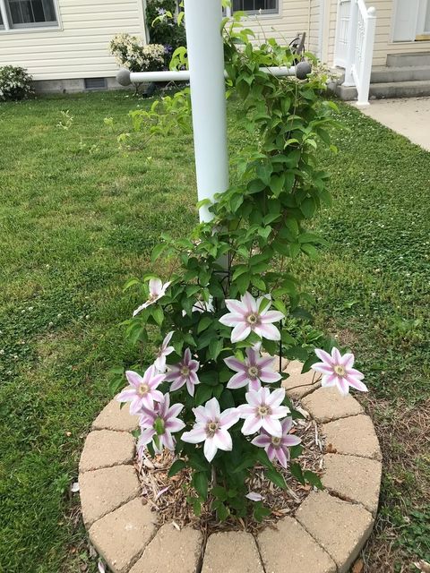 Tiny photo for 1015 S Locust Street, Sesser, IL 62884 (MLS # 12564311)