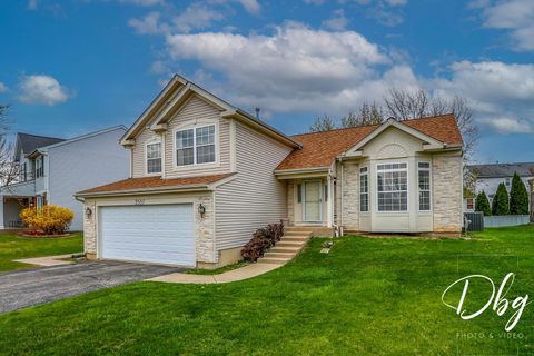 2557 N ORCHARD Lane Round Lake Beach IL 60073