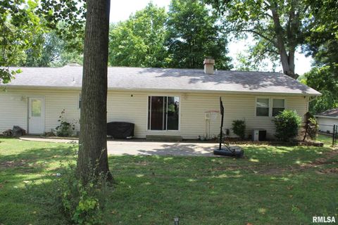 Tiny photo for 1011 Blueberry Hill Avenue, Mt Vernon, IL 62864 (MLS # EB459160)