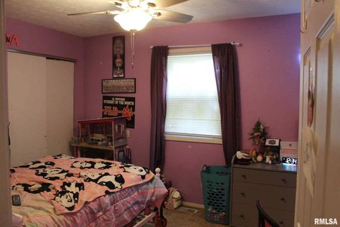 Tiny photo for 1011 Blueberry Hill Avenue, Mt Vernon, IL 62864 (MLS # EB459160)