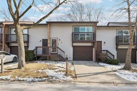 Photo of 336 Ozark Drive, Bolingbrook, IL 60440 (MLS # 12601681)