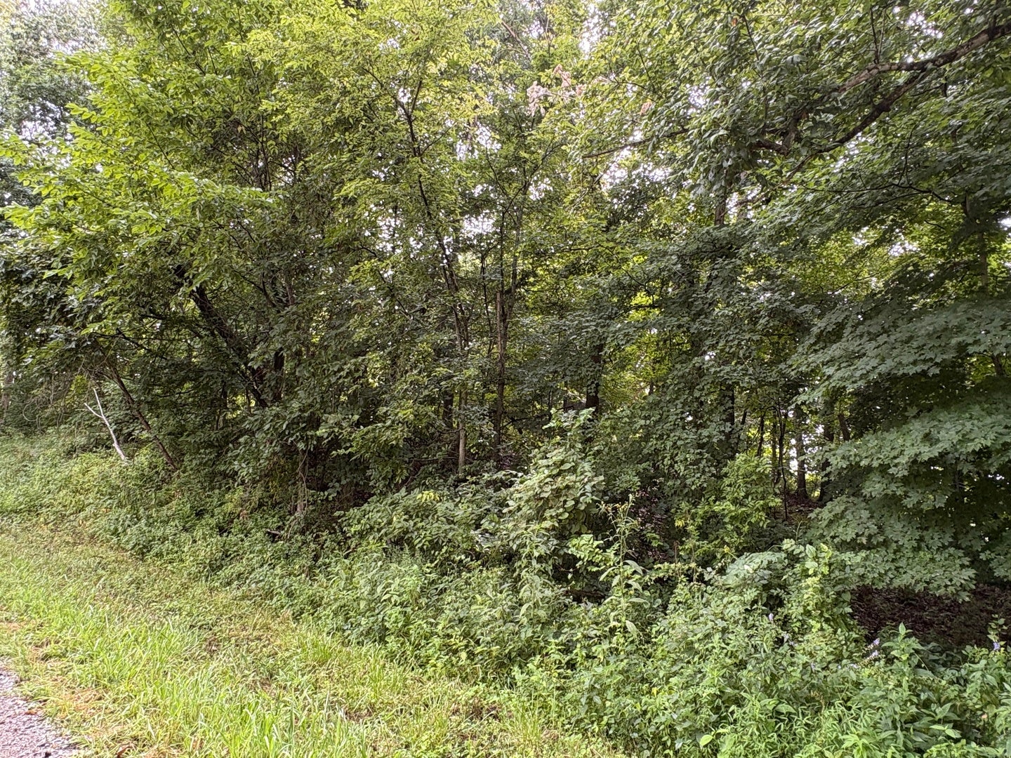 000 N Tolle Lane