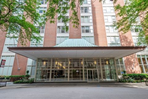 1325 N State Parkway 8E Chicago IL 60610