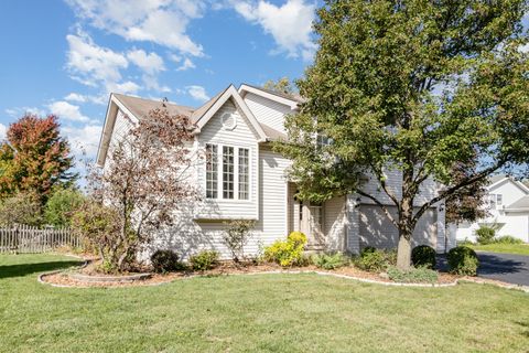 Tiny photo for 893 Laurel Drive, Elwood, IL 60421 (MLS # 12496310)